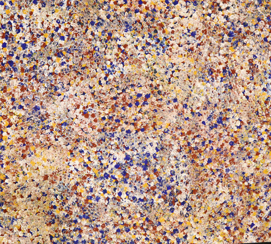 "Bush Plum Dreaming" by Kate Pitjara