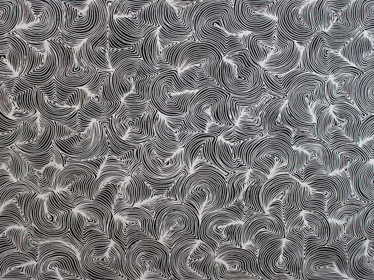 "Emu Feathers" by Yondee Shane Hansen