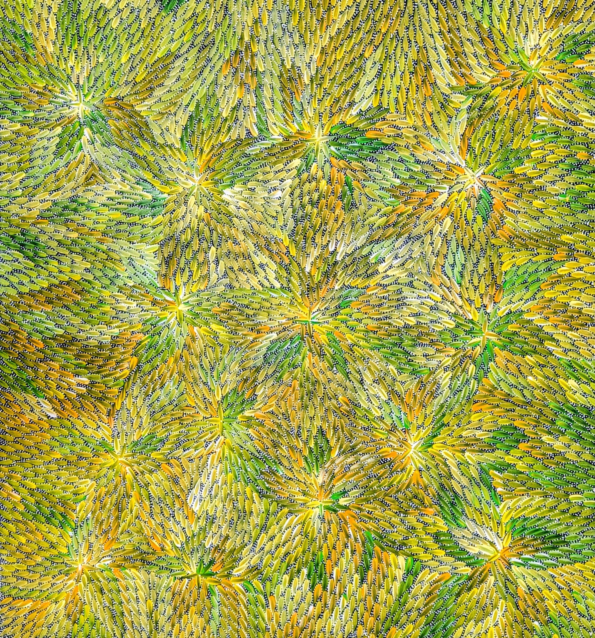 "Bush Medicine Leaves" by Bernadine Johnson