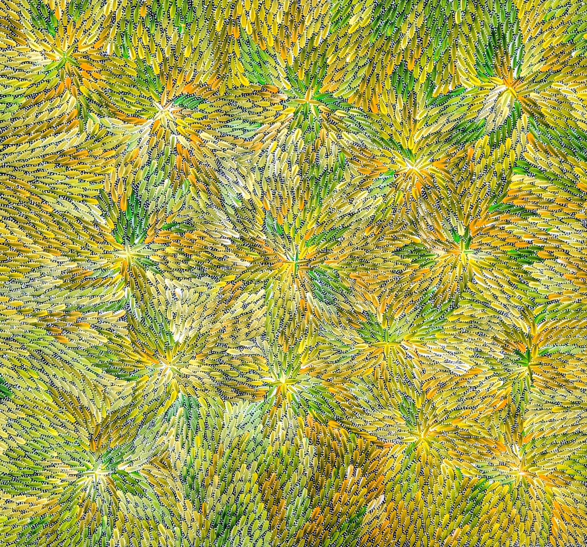 "Bush Medicine Leaves" by Bernadine Johnson