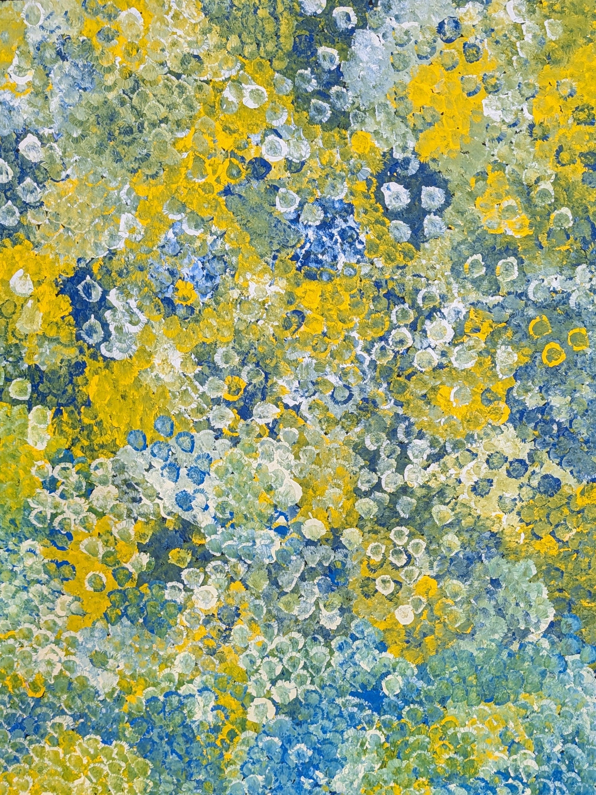 "Bush Plum Dreaming" by Belinda Golder Kngwarreye