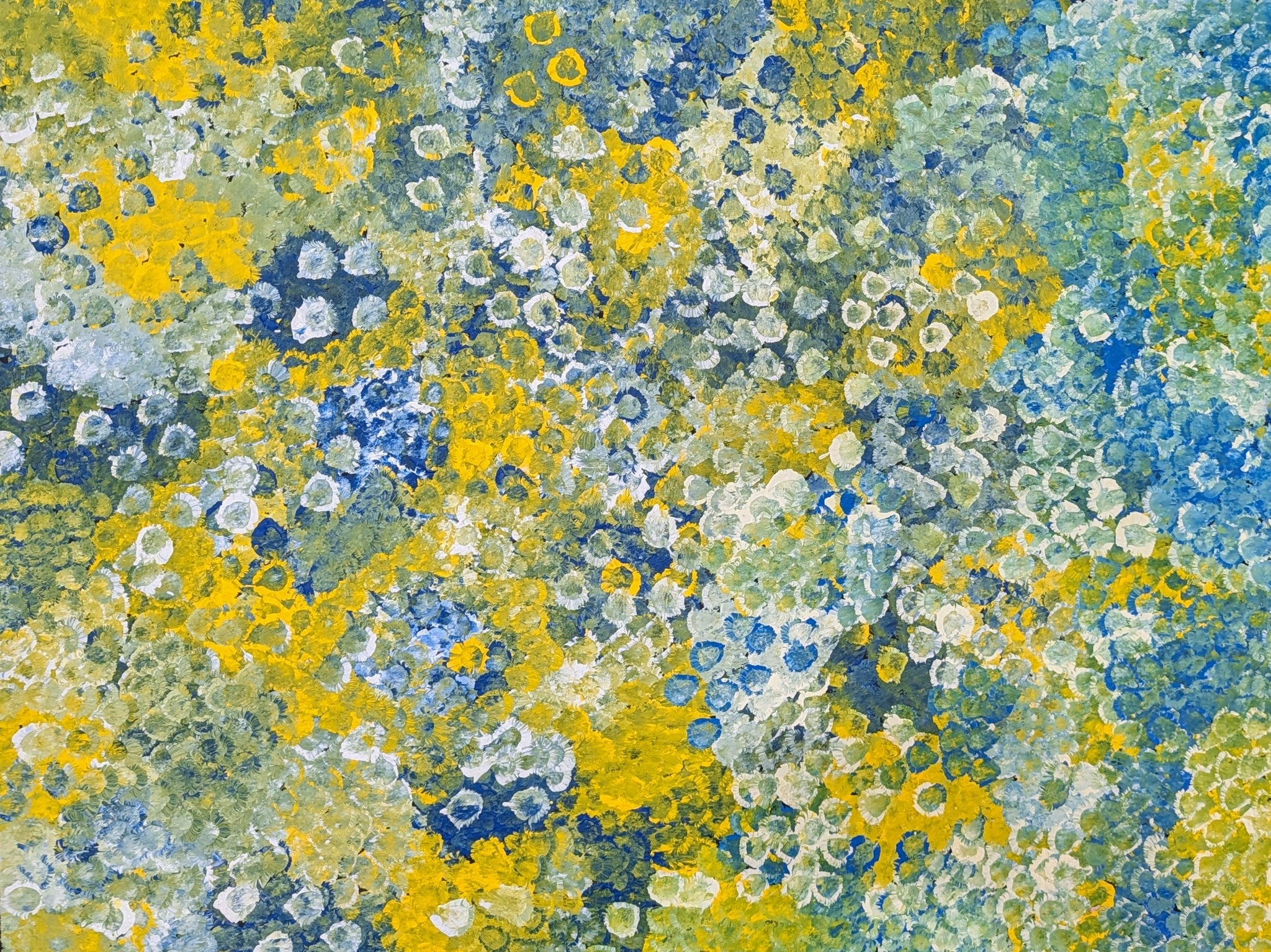 "Bush Plum Dreaming" by Belinda Golder Kngwarreye
