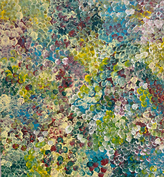 "Bush Plum Dreaming" by Belinda Golder Kngwarreye