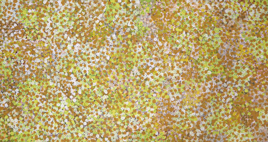 "Bush Plum Dreaming" by Belinda Golder Kngwarreye
