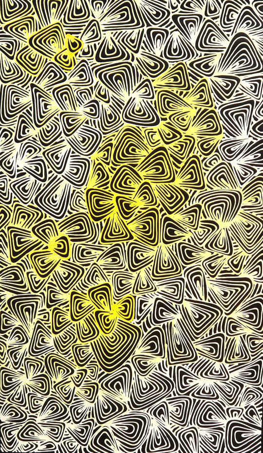 "Midden Shells along the Swan River" by Shane YONDEE Hansen