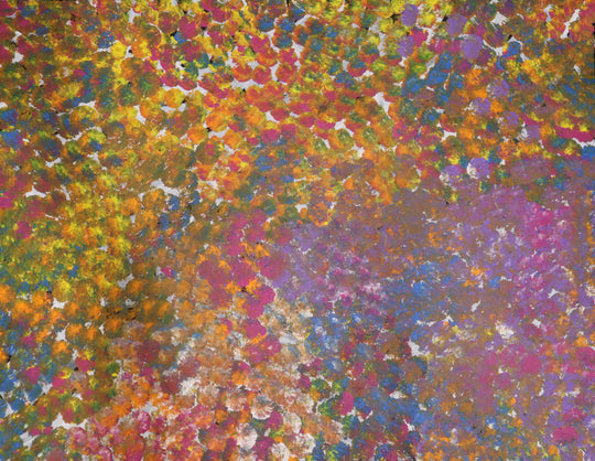 "Bush Plum" by Joy Pitjara