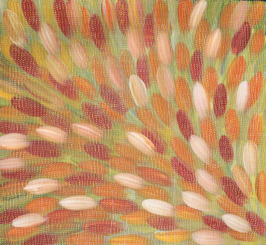 "Bush Medicine Leaves" by Roseanne Morton Pwerle