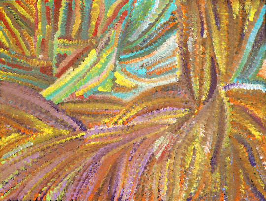 "Bush Yam" by Jedda Purvis Kngwarreye