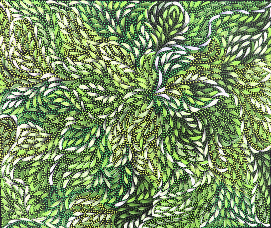 "Bush Medicine Leaves" by Caroline Numina