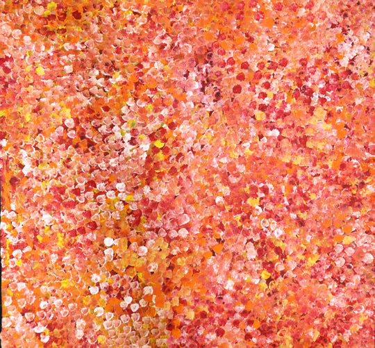 "Bush Plum Dreaming" by Rochelle Bird Mbitjana