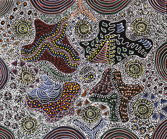 "My Country" by Rayleen Price Pula