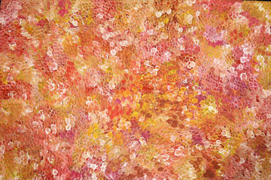 "Bush Plum Dreaming" by Belinda Golder Kngwarreye