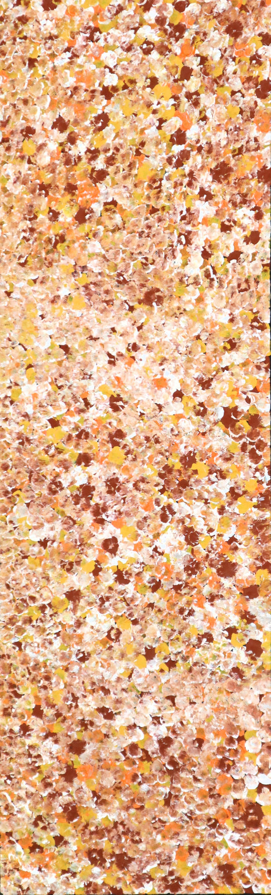 "Bush Plum Dreaming" by Kate Pitjara