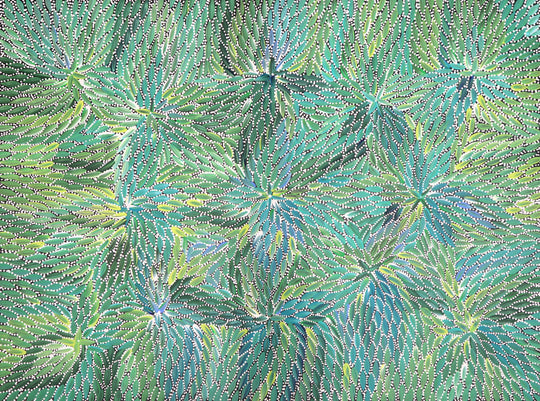 "Bush Medicine Leaves" by Bernadine Johnson