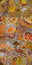 "Women's Ceremony" by Janet Golder Kngwarreye