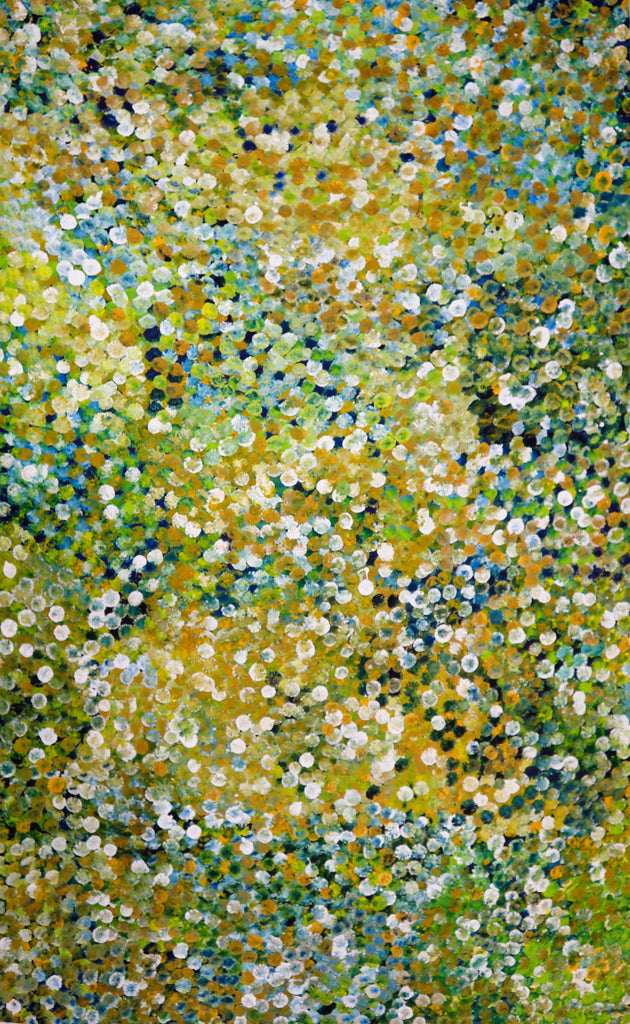 "Bush Plum Dreaming" by Janet Golder Kngwarreye