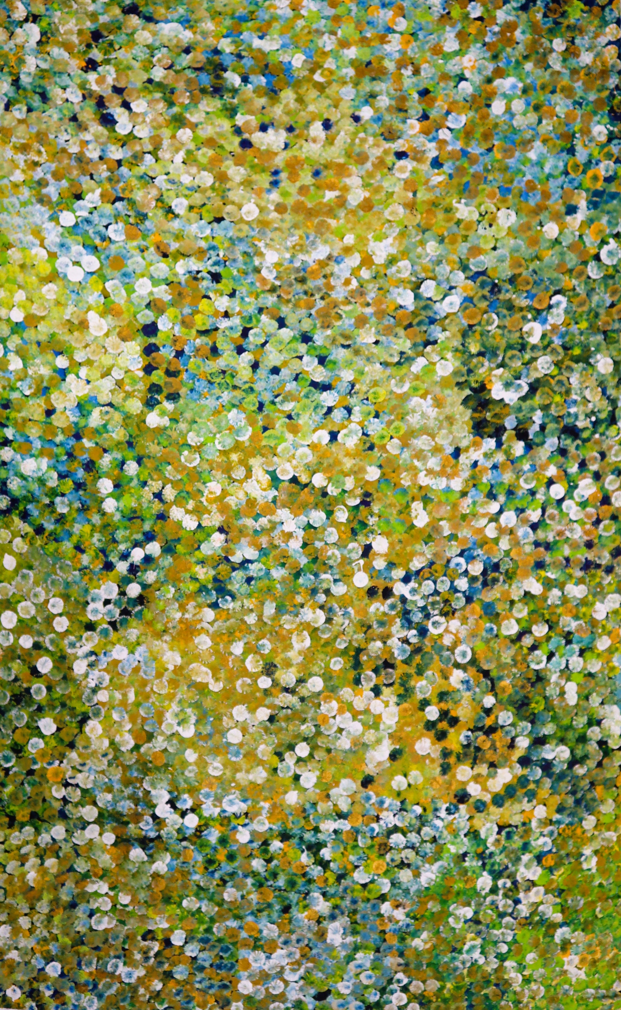 "Bush Plum Dreaming" by Janet Golder Kngwarreye
