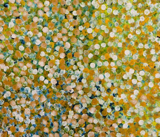"Bush Plum Dreaming" by Janet Golder Kngwarreye