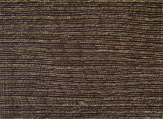 "Thorny Lizard" by Sharon Numina Napanangka