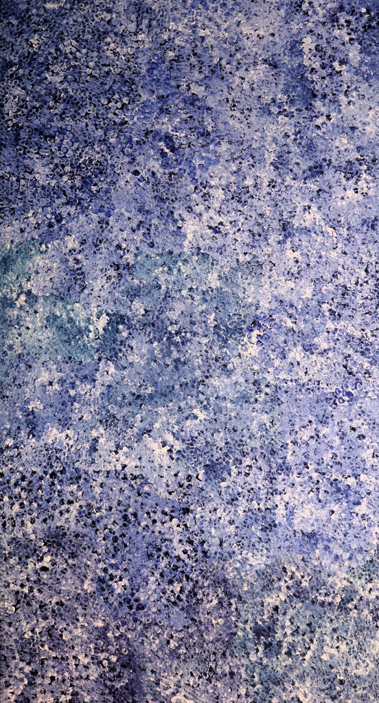 "Bush Plum Dreaming" by Kate Pitjara