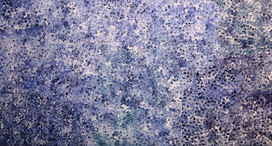 "Bush Plum Dreaming" by Kate Pitjara