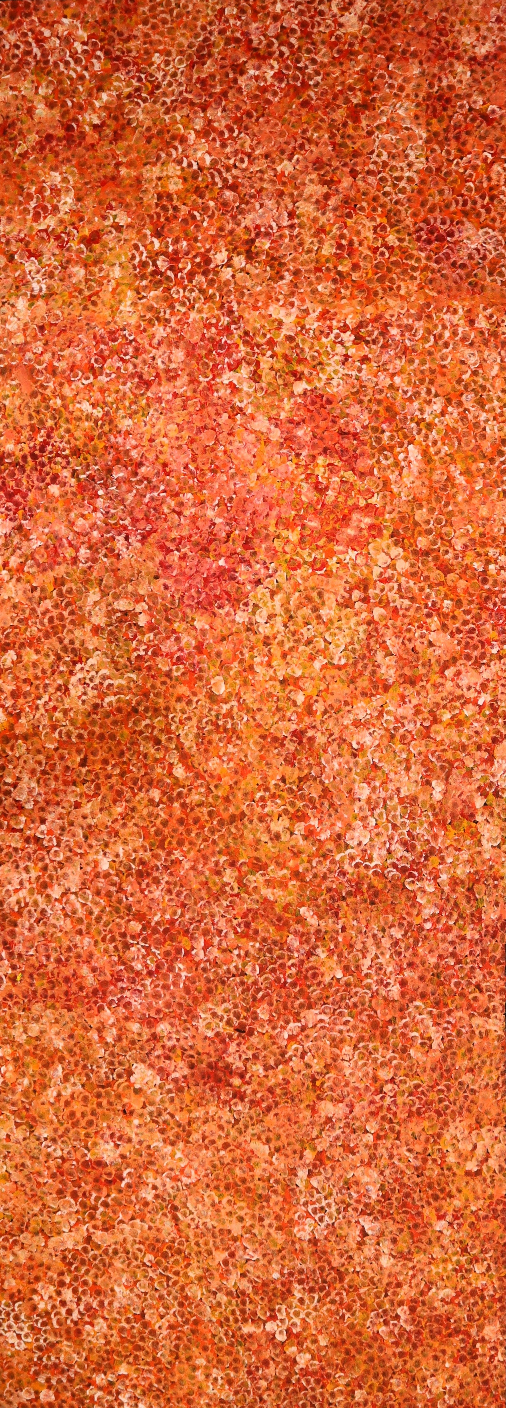 "Bush Plum Dreaming" by Kate Pitjara