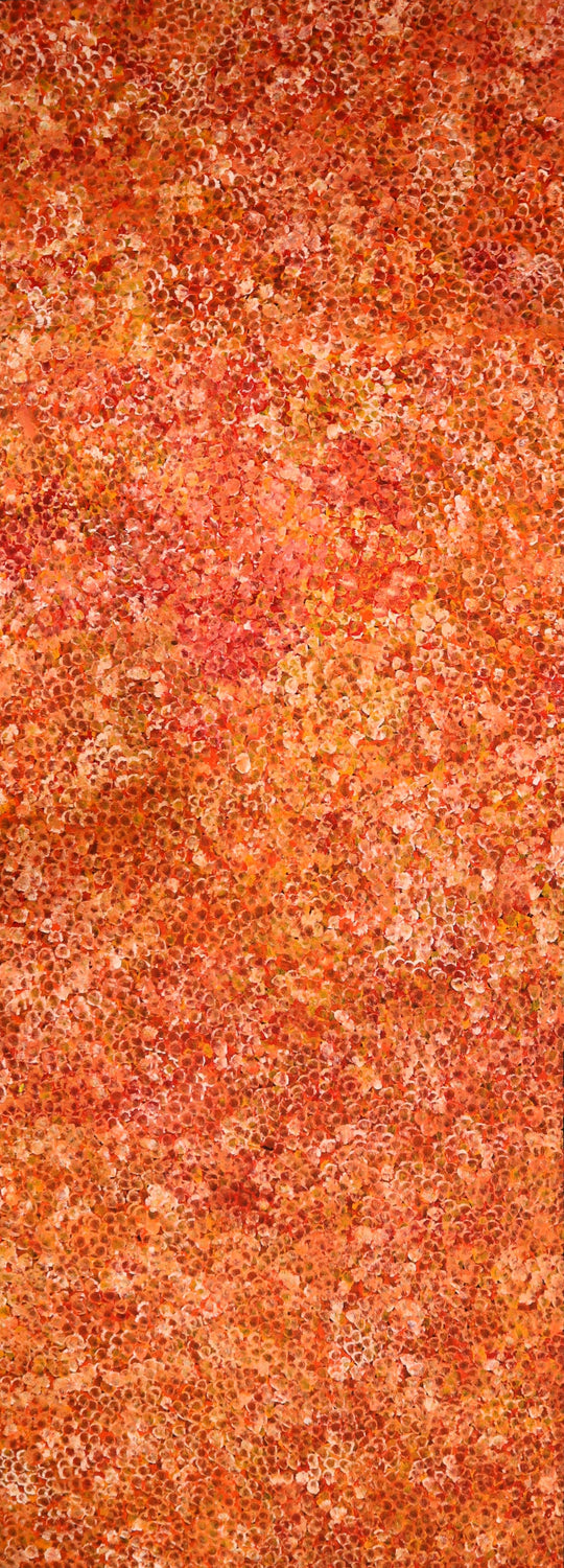 "Bush Plum Dreaming" by Kate Pitjara