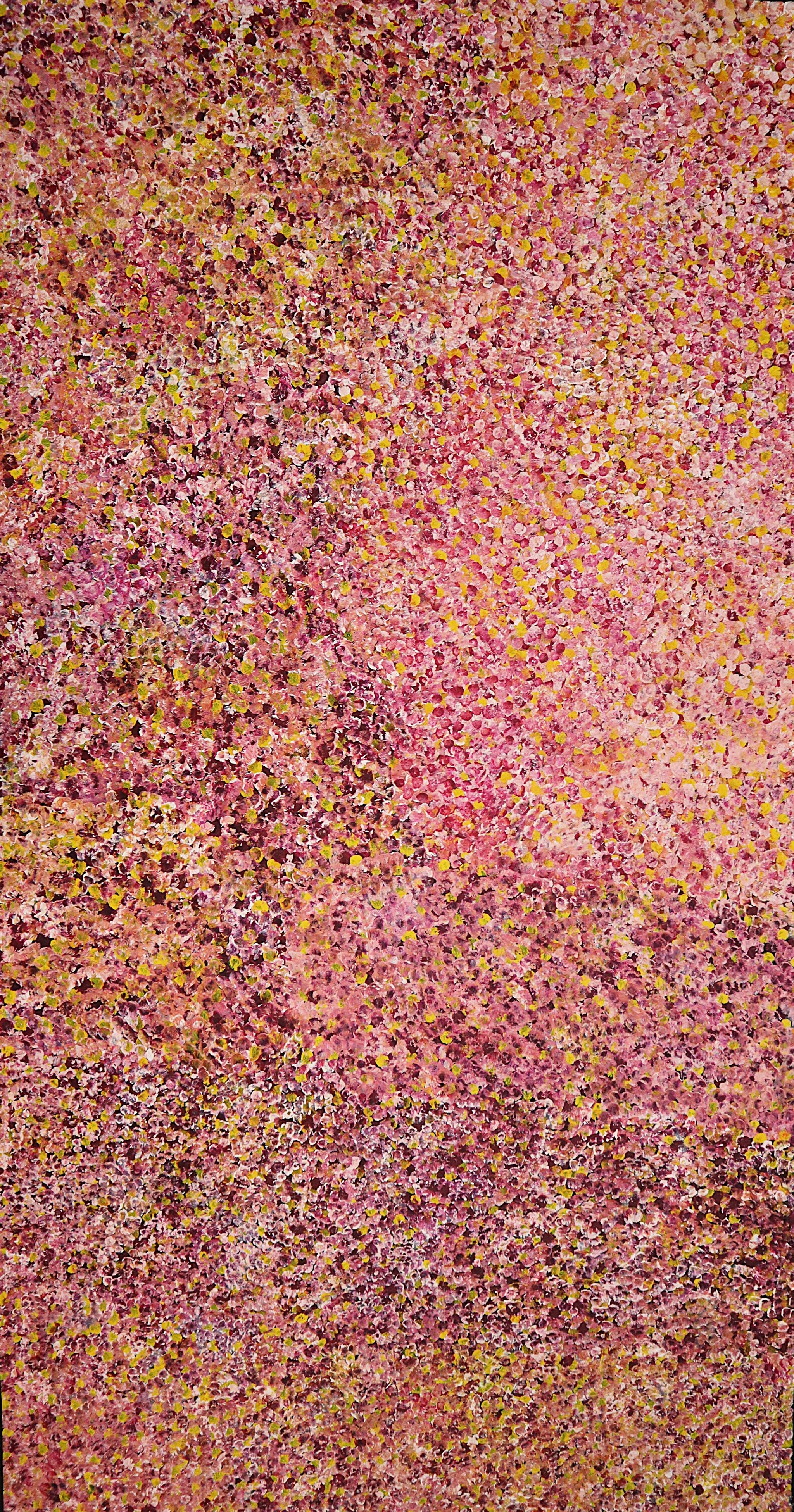 "Bush Plum Dreaming" by Bessie Petyarre