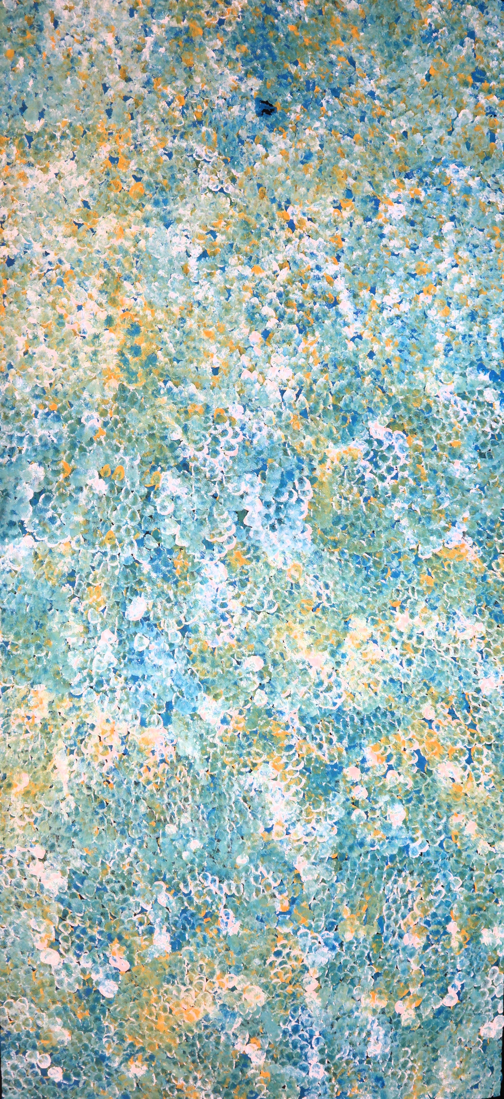 "Bush Plum Dreaming" by Kate Pitjara