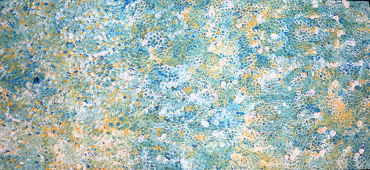 "Bush Plum Dreaming" by Kate Pitjara