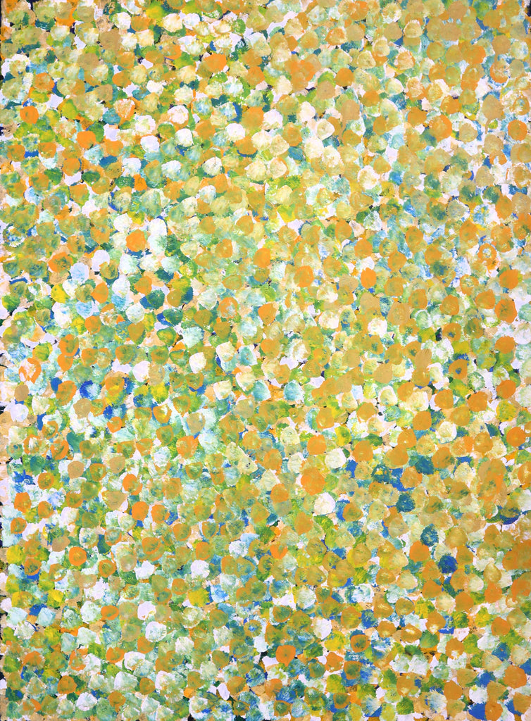"Bush Plum Dreaming" by Janet Golder Kngwarreye