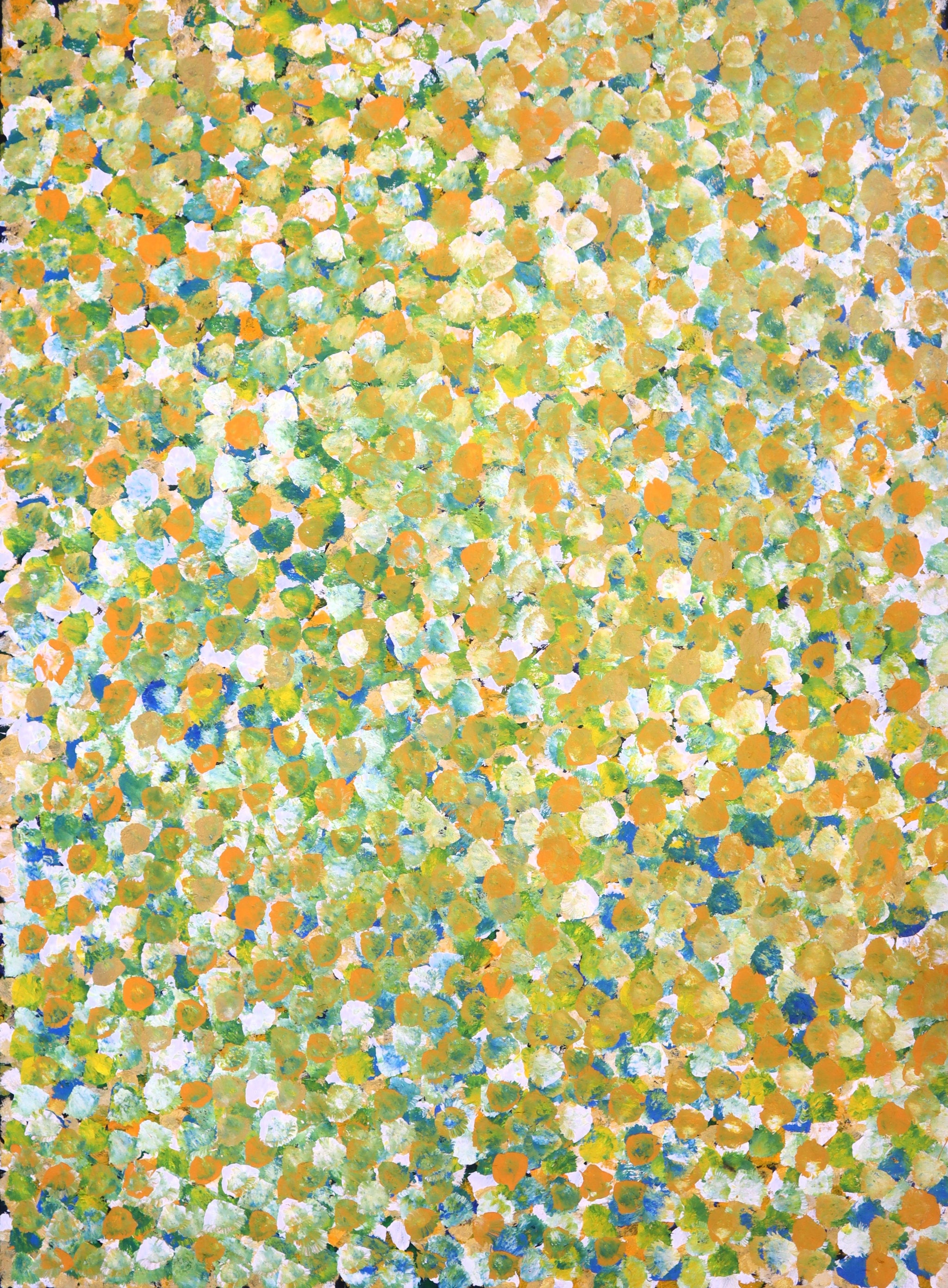 "Bush Plum Dreaming" by Janet Golder Kngwarreye