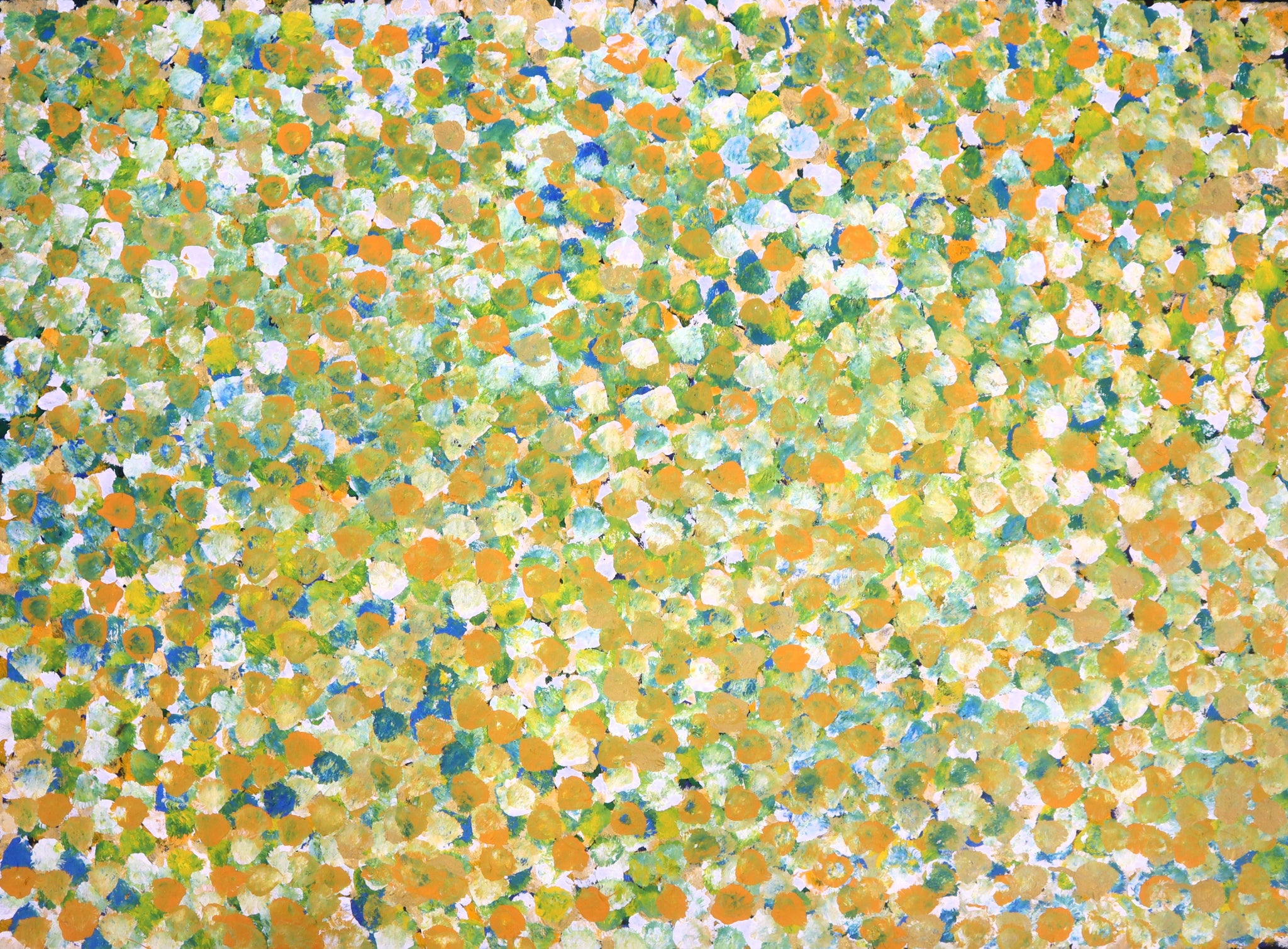 "Bush Plum Dreaming" by Janet Golder Kngwarreye