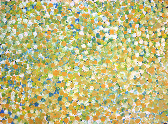 "Bush Plum Dreaming" by Janet Golder Kngwarreye