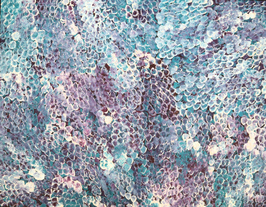 "Bush Plum Dreaming" by Kate Pitjara