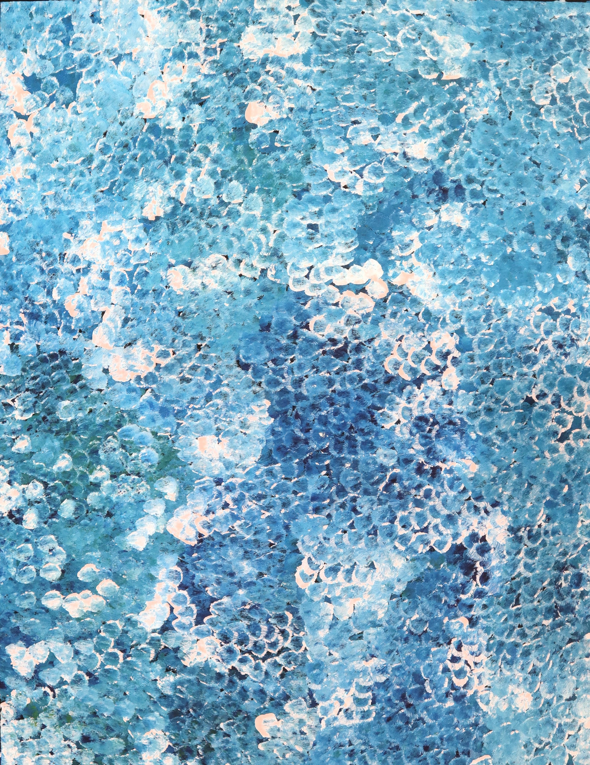 "Bush Plum Dreaming" by Kate Pitjara