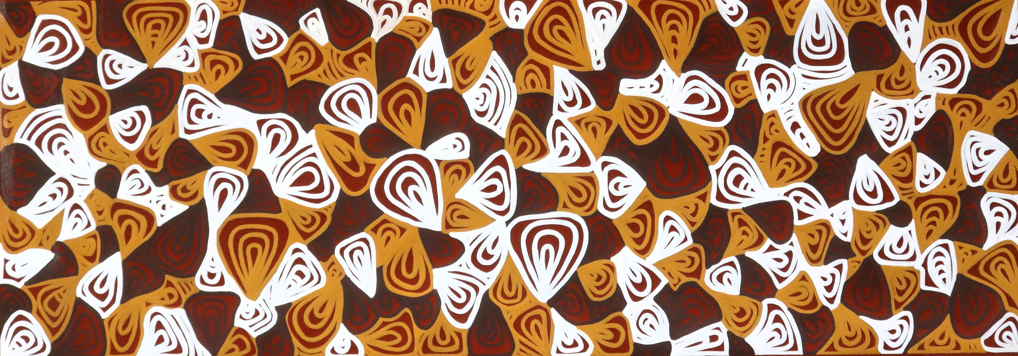 "Middens Shells" by YONDEE Shane Hansen