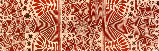 "My Special Homeland" by Debra Nangala McDonald