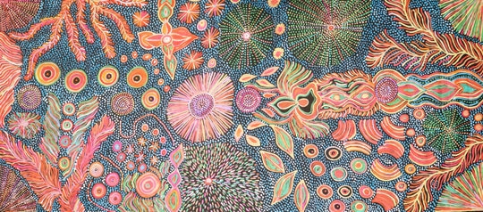 "My Country Dreaming" by Joy Purvis Pitjara