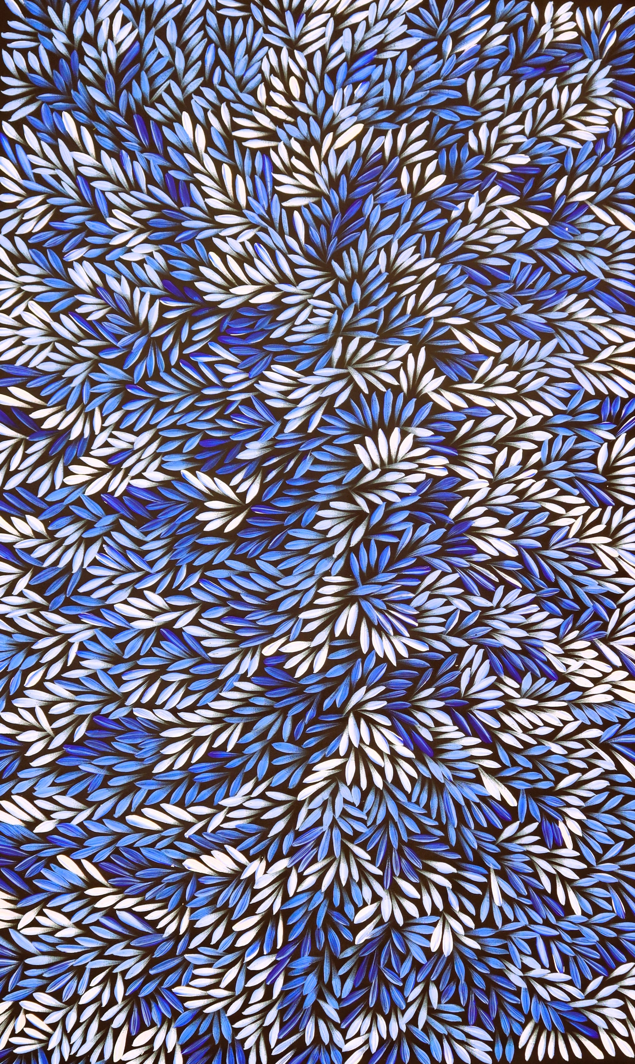 "Bush Medicine Leaves" by Sharon Numina