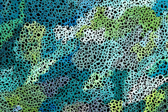 "Coral Reef Spawning" by Shane YONDEE Hansen