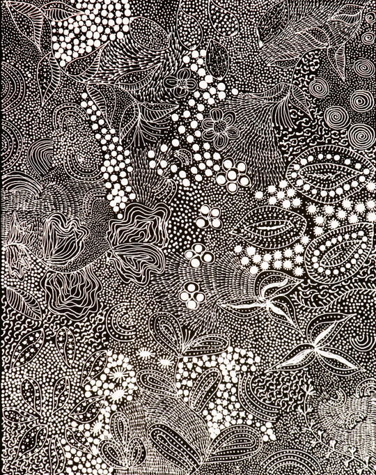 "My Country Dreaming" by Tanya Bird Mbitjana