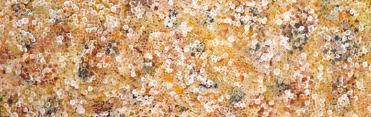 "Bush Plum Dreaming" by Belinda Golder Kngwarreye