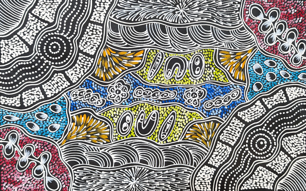 "My Country Dreaming" by Sharon Numina Napanangka