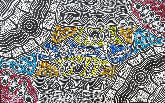 "My Country Dreaming" by Sharon Numina Napanangka