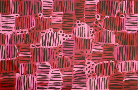 Awelye Dreaming by Rayleen Stevens