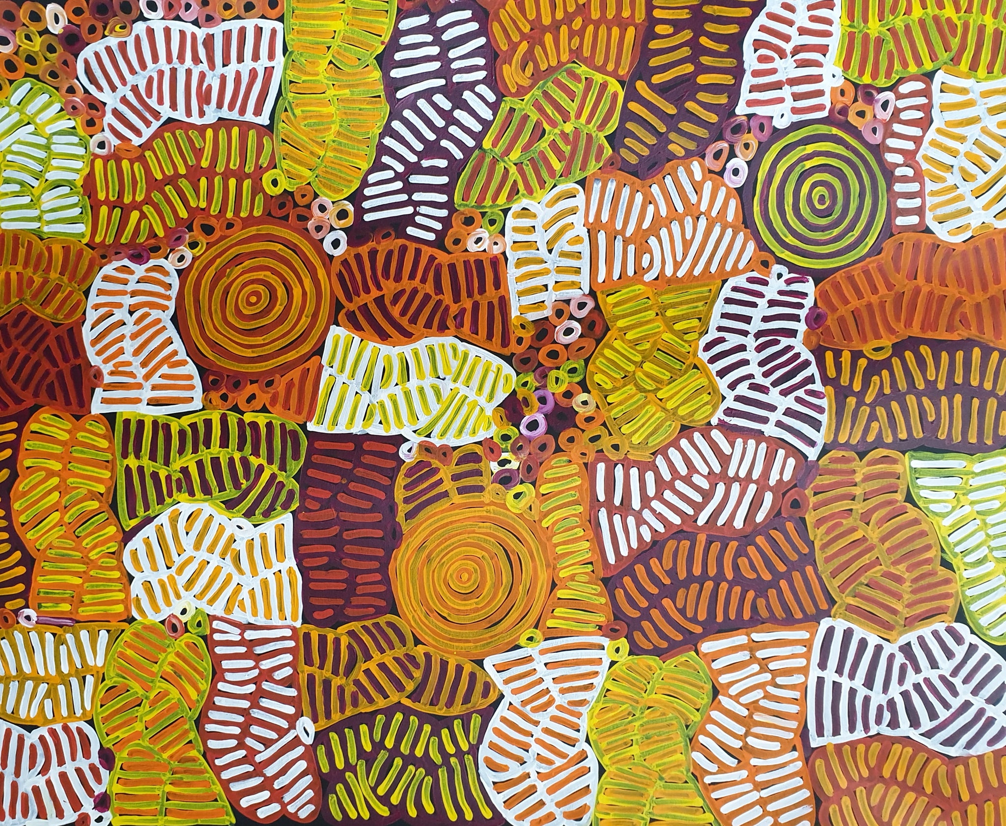 "Awelye & Bush Melons" by Betty Mbitjana Pwerle