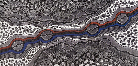 "My Country Dreaming" by Delvine Petyarre