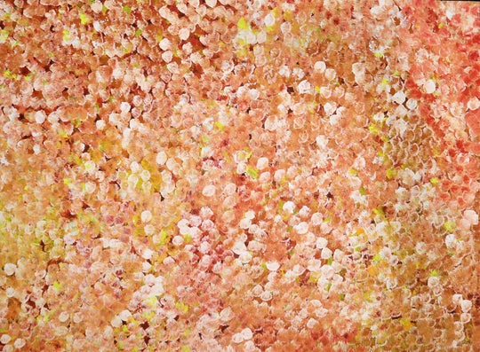 "Bush Plum Dreaming" by Margaret Golder Kngwarreye