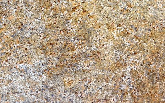 "Bush Plum Dreaming" by Belinda Golder Kngwarreye